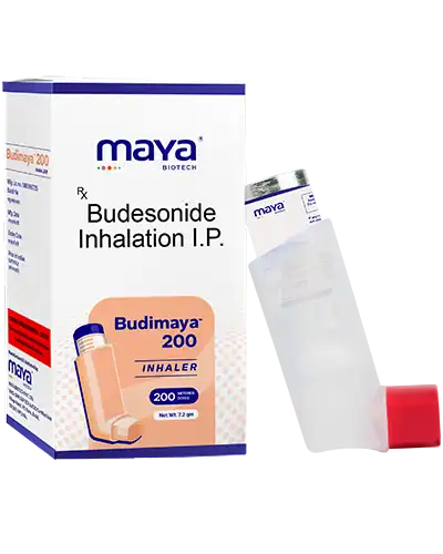 Budesonide 200 mcg inhaler product photograph